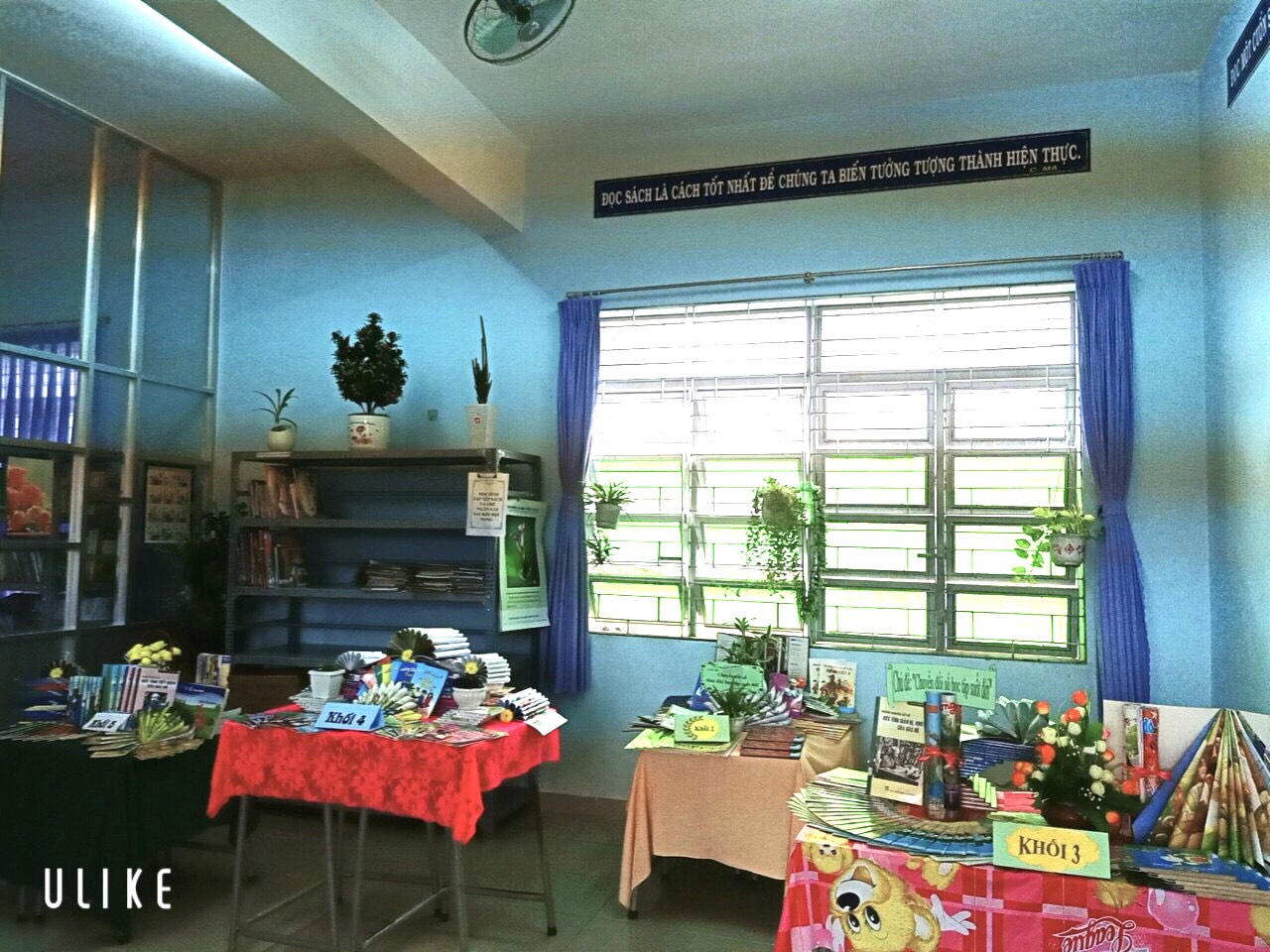 z2113166193532 8928efe3fde7325ea586301fa69373e4