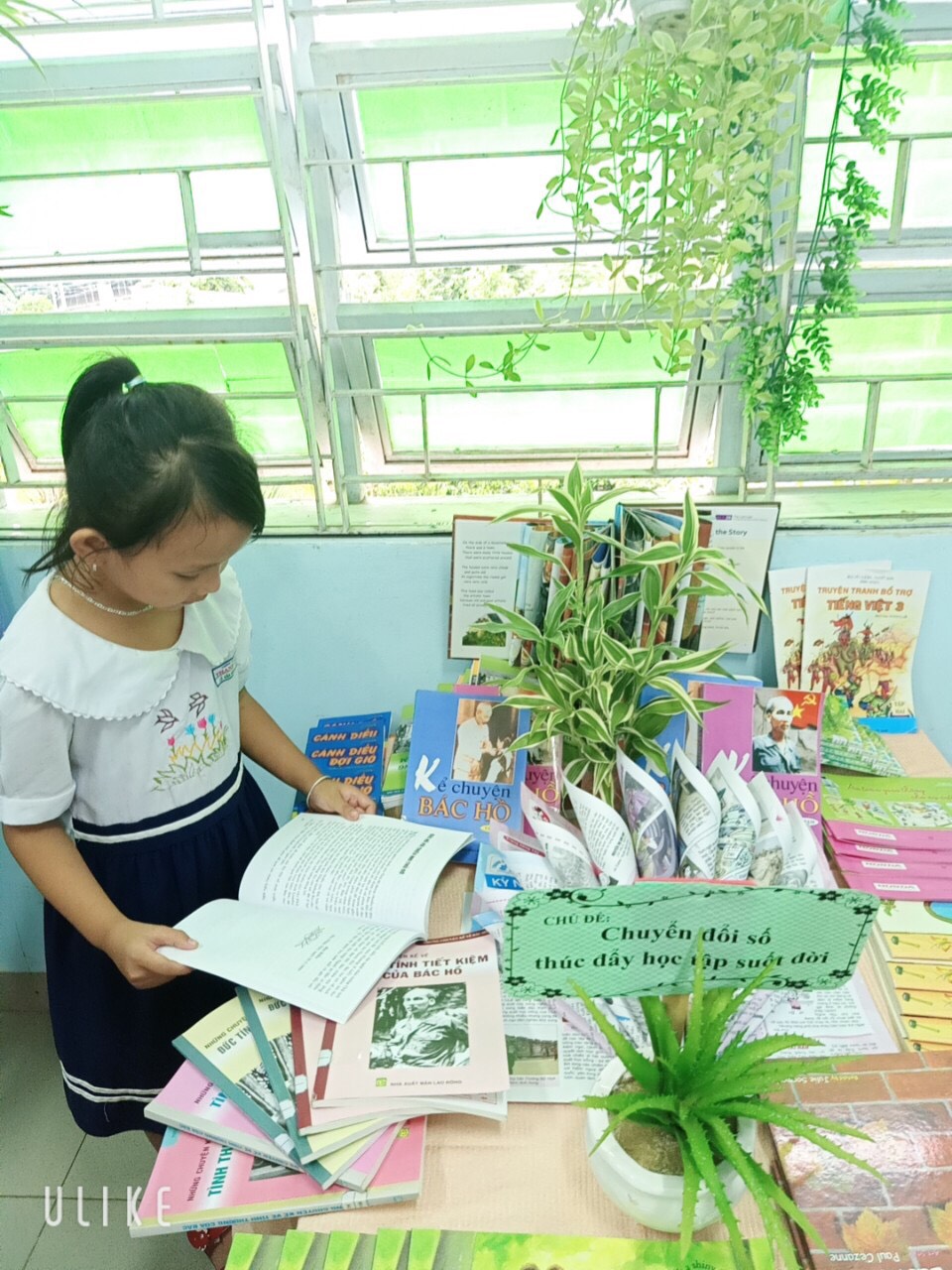 z2113166223076 6f0c47bab79da7984fc18356e2944132